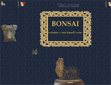 Tablet Screenshot of bonsaiyorkie.com